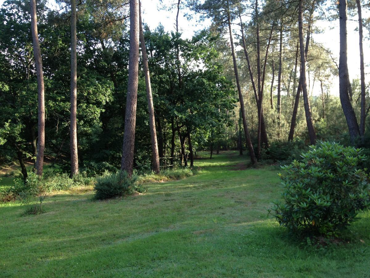 L'Hippocampe Bed and Breakfast Sérent Exterior foto